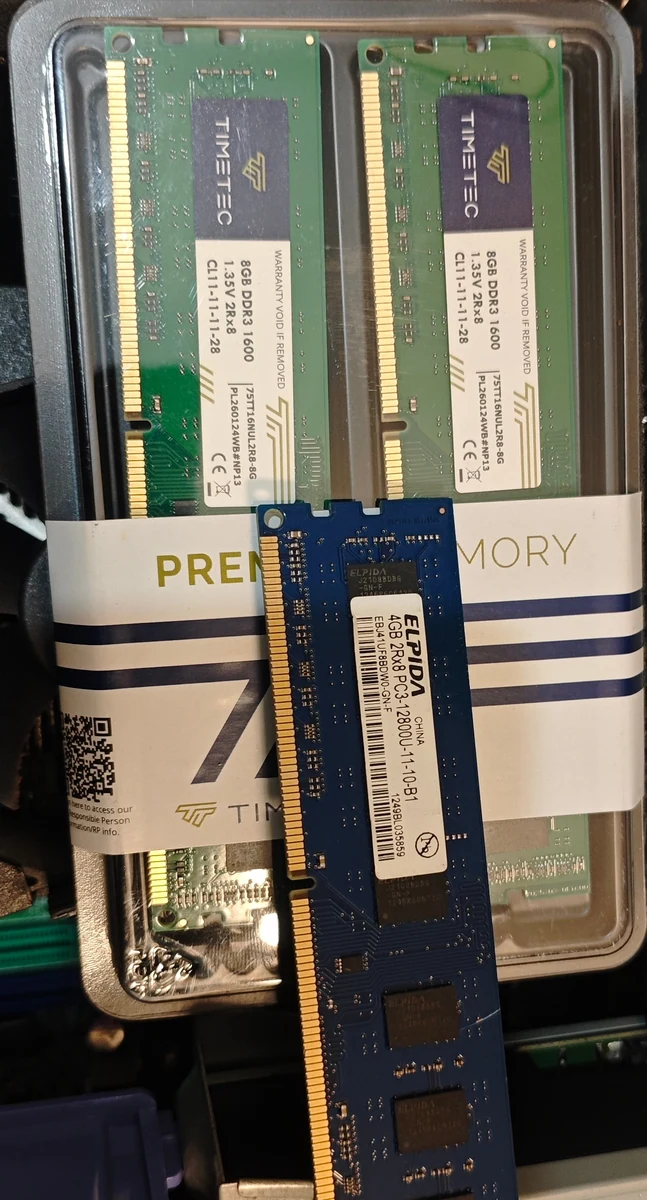 Two new 8 GB DDR3-1600 memory modules in their packaging, with the old 4 GB DDR3 module held in front of them